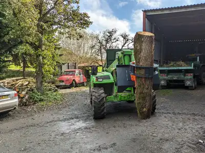 PXL_20231027_103420680