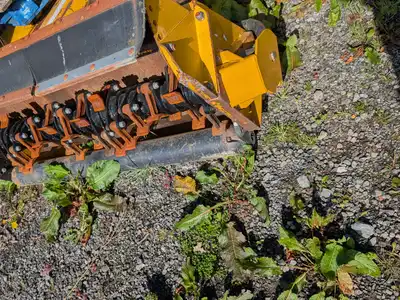 PXL_20260413_090921738