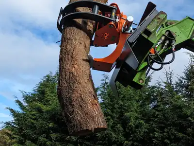 PXL_20231027_103540931